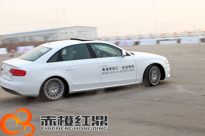 奥迪东北区活动